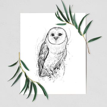 Barn Owl - Tyto alba - Fine Art Print