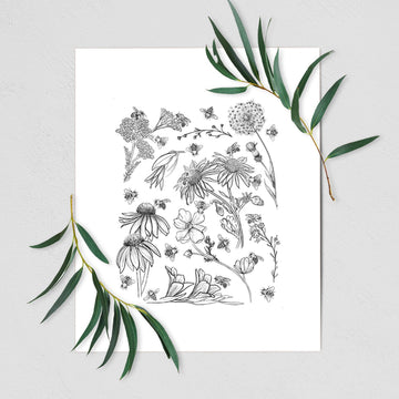 Bees & Blooms - Honeybees with Wildflowers - Fine Art Print