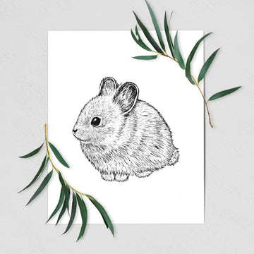 Columbia Basin Pygmy Rabbit - Fine Art Print