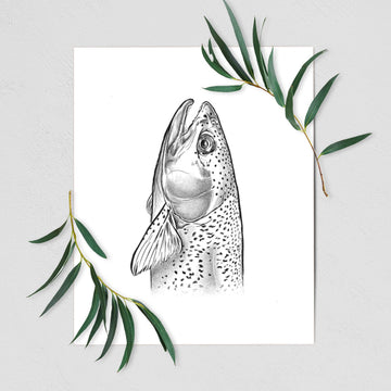 Rainbow Trout - Oncorhynchus mykiss - Fine Art Print