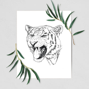 Siberian Tiger - Panthera tigris altaica - Fine Art Print
