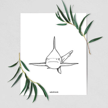 Silvertip Shark Front - Fine Art Print