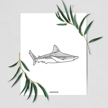 Silvertip Shark Side - Fine Art Print