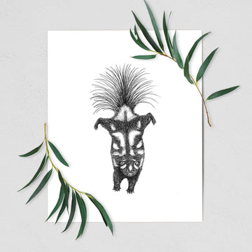 Eastern Spotted Skunk - Spilogale putorius - Fine Art Print