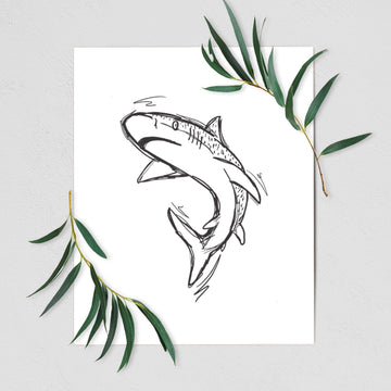 Tiger Shark - Fine Art Print