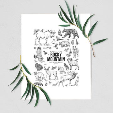 Wildlife of the Rocky Mountain National Park - Fine Art Print