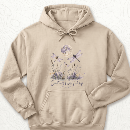 Sometimes Look Up Hoodie
