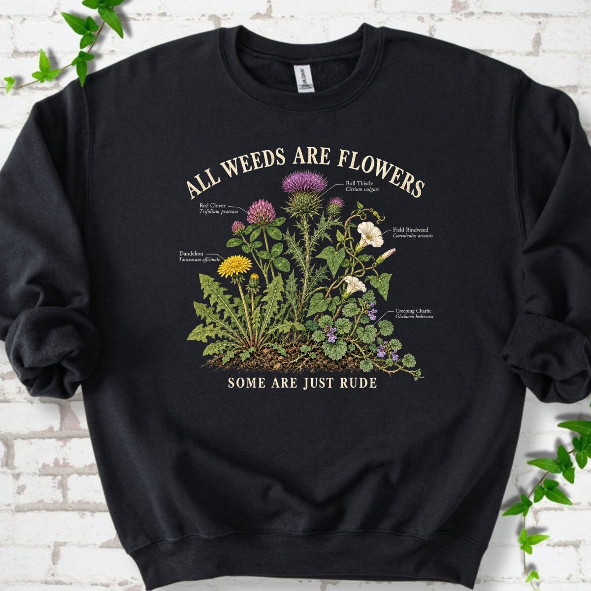 All Weeds Are Flowers Botanical Guide Sweatshirt