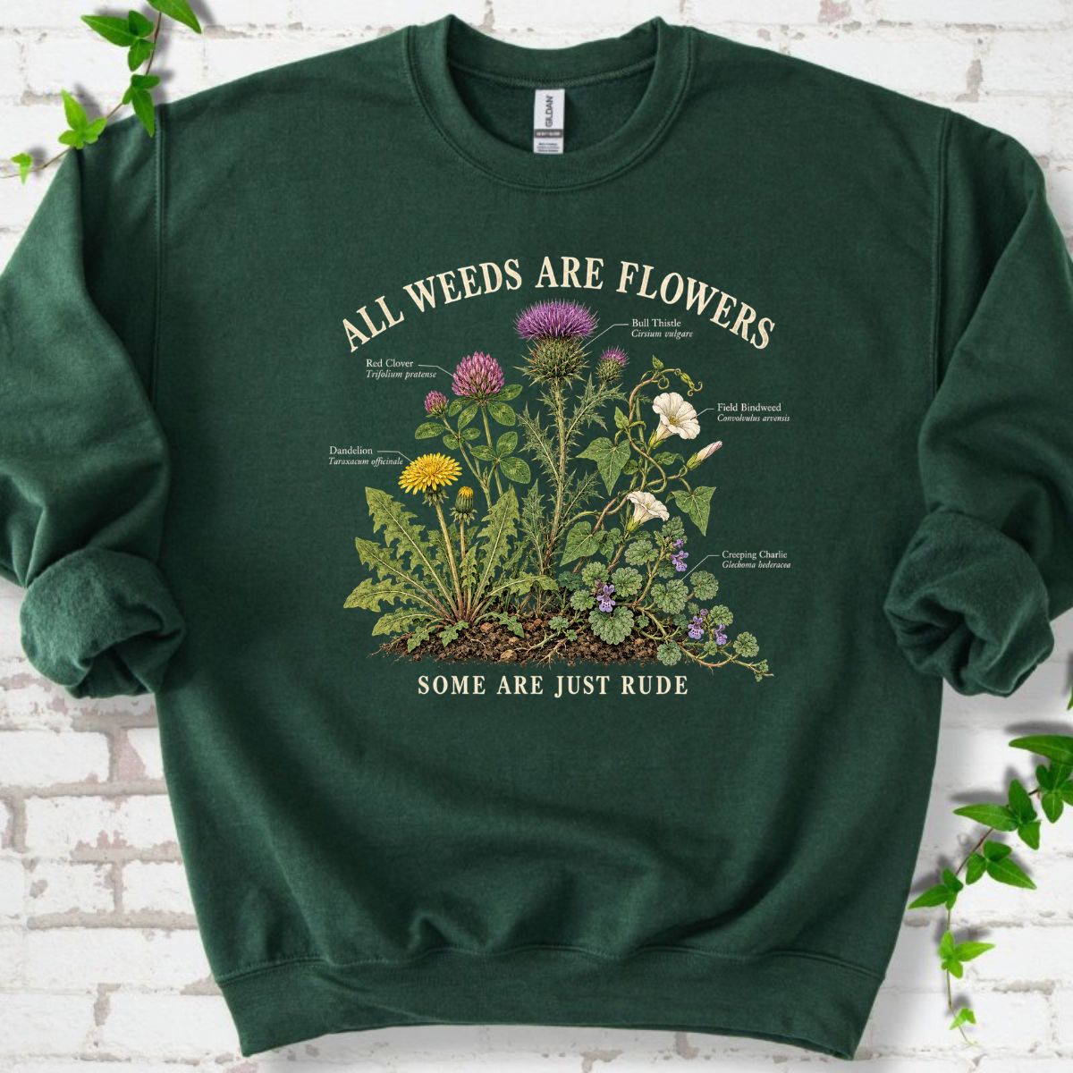 All Weeds Are Flowers Botanical Guide Sweatshirt