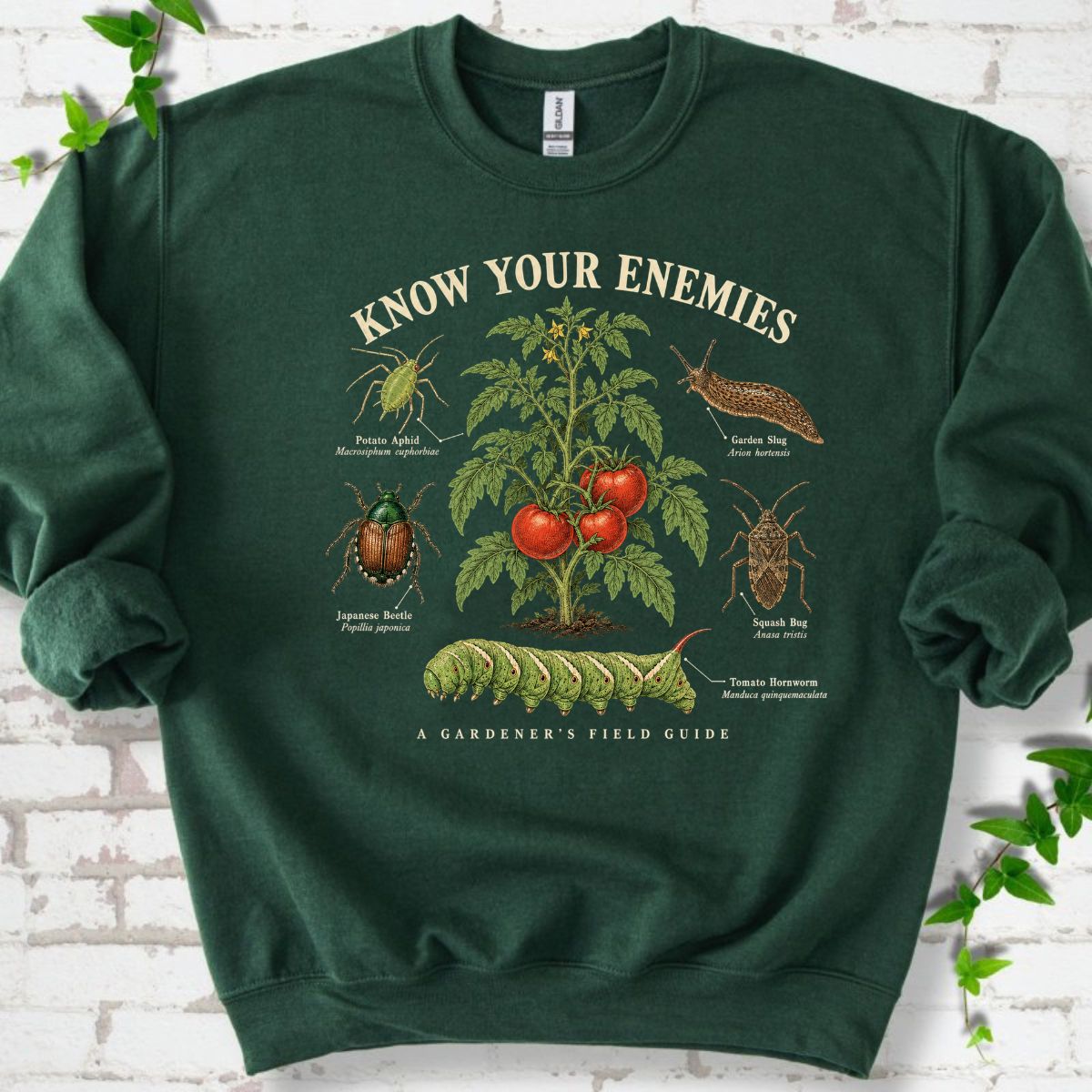 Know Your Enemies Tomato Pest Guide Sweatshirt
