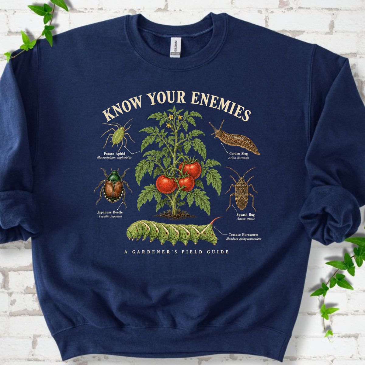 Know Your Enemies Tomato Pest Guide Sweatshirt