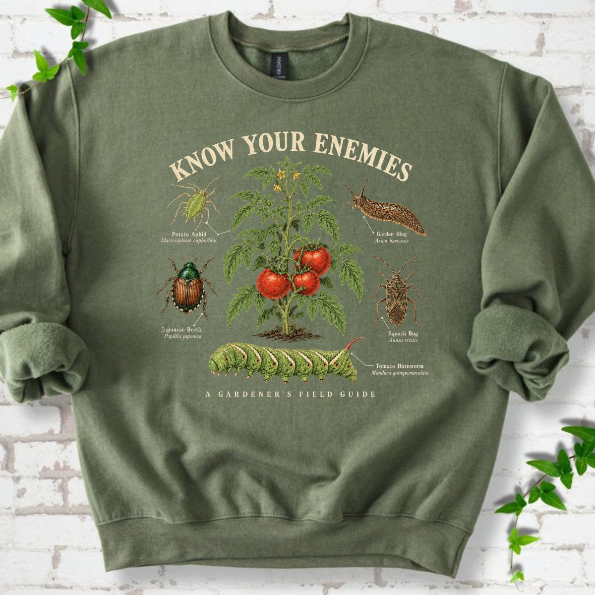 Know Your Enemies Tomato Pest Guide Sweatshirt