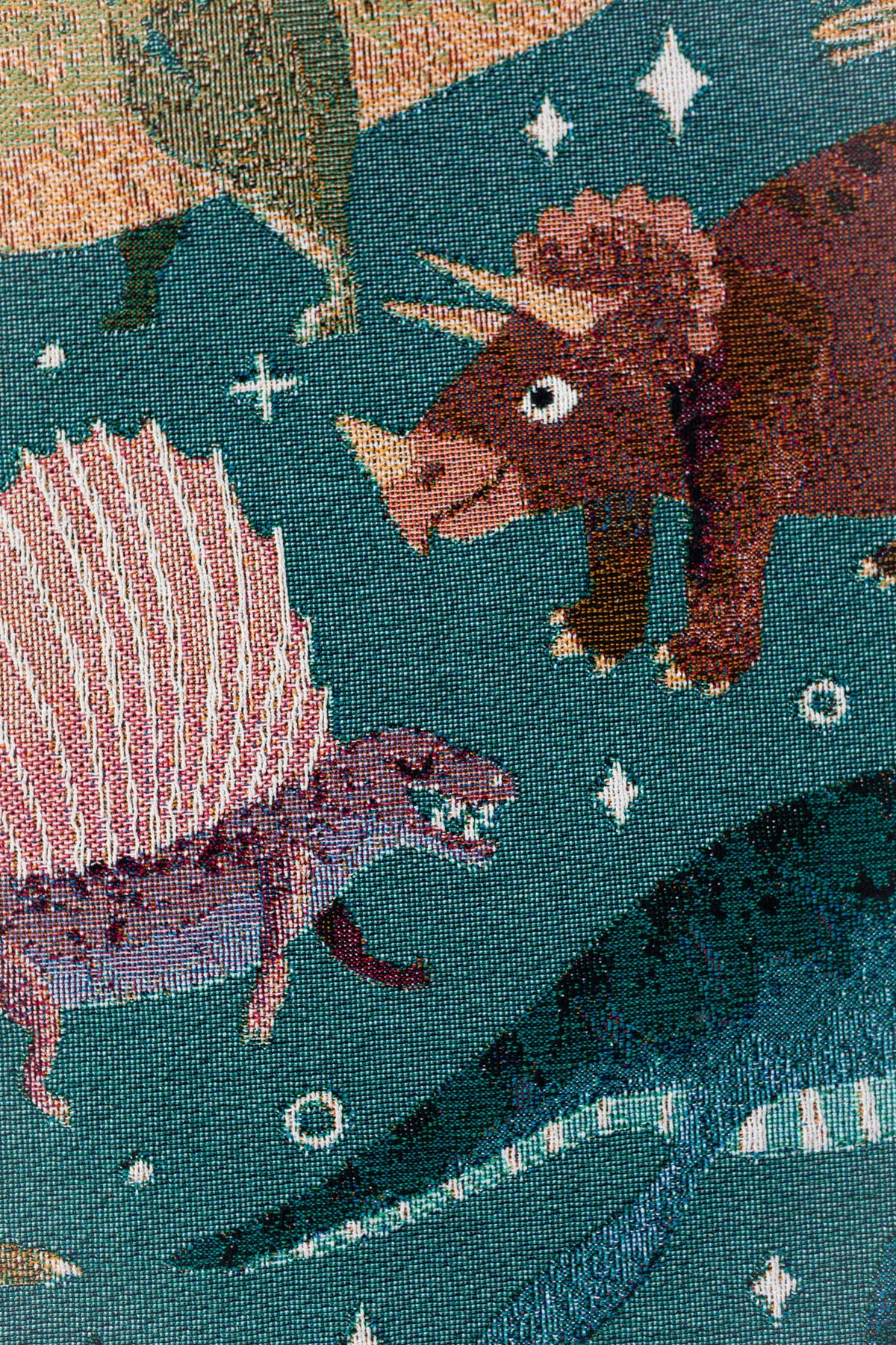 Dinosaur Woven Blanket