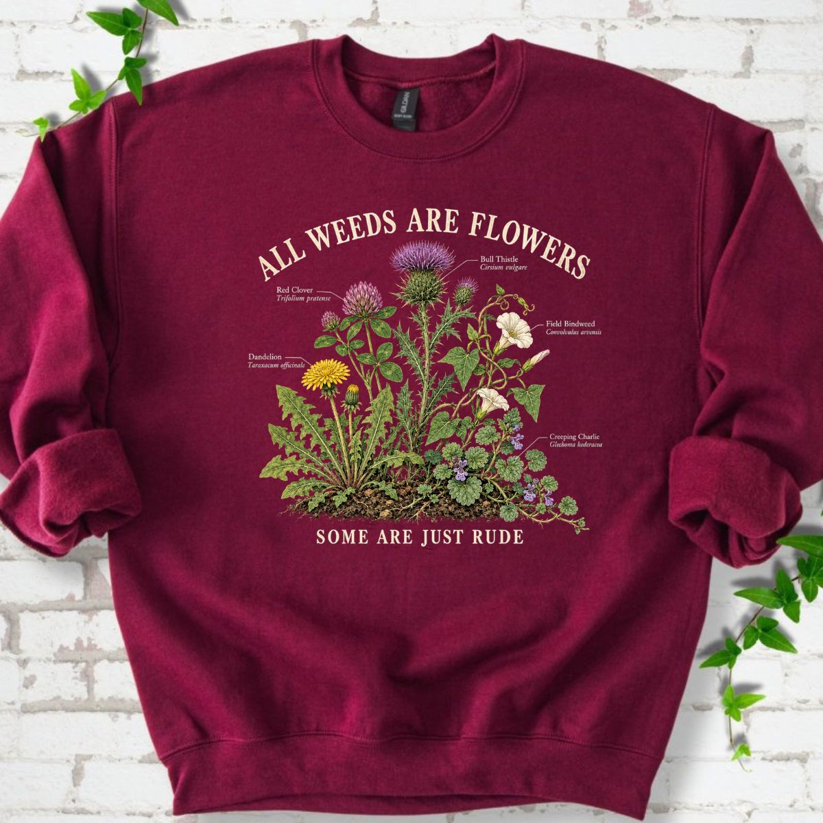 All Weeds Are Flowers Botanical Guide Sweatshirt
