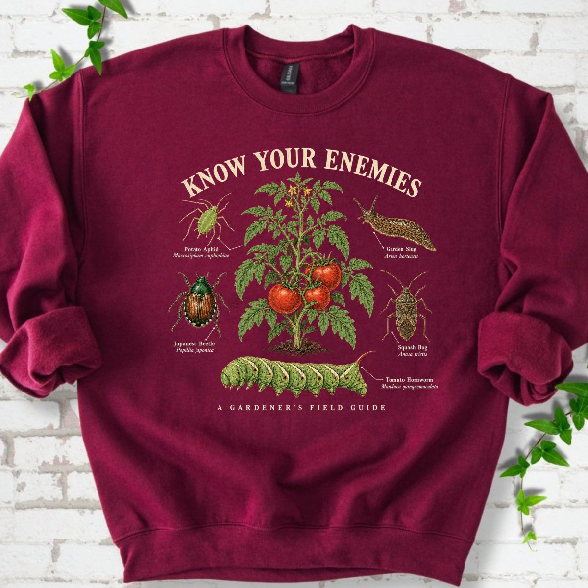 Know Your Enemies Tomato Pest Guide Sweatshirt