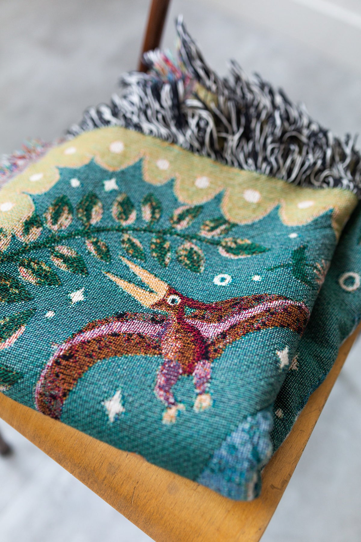Dinosaur Woven Blanket