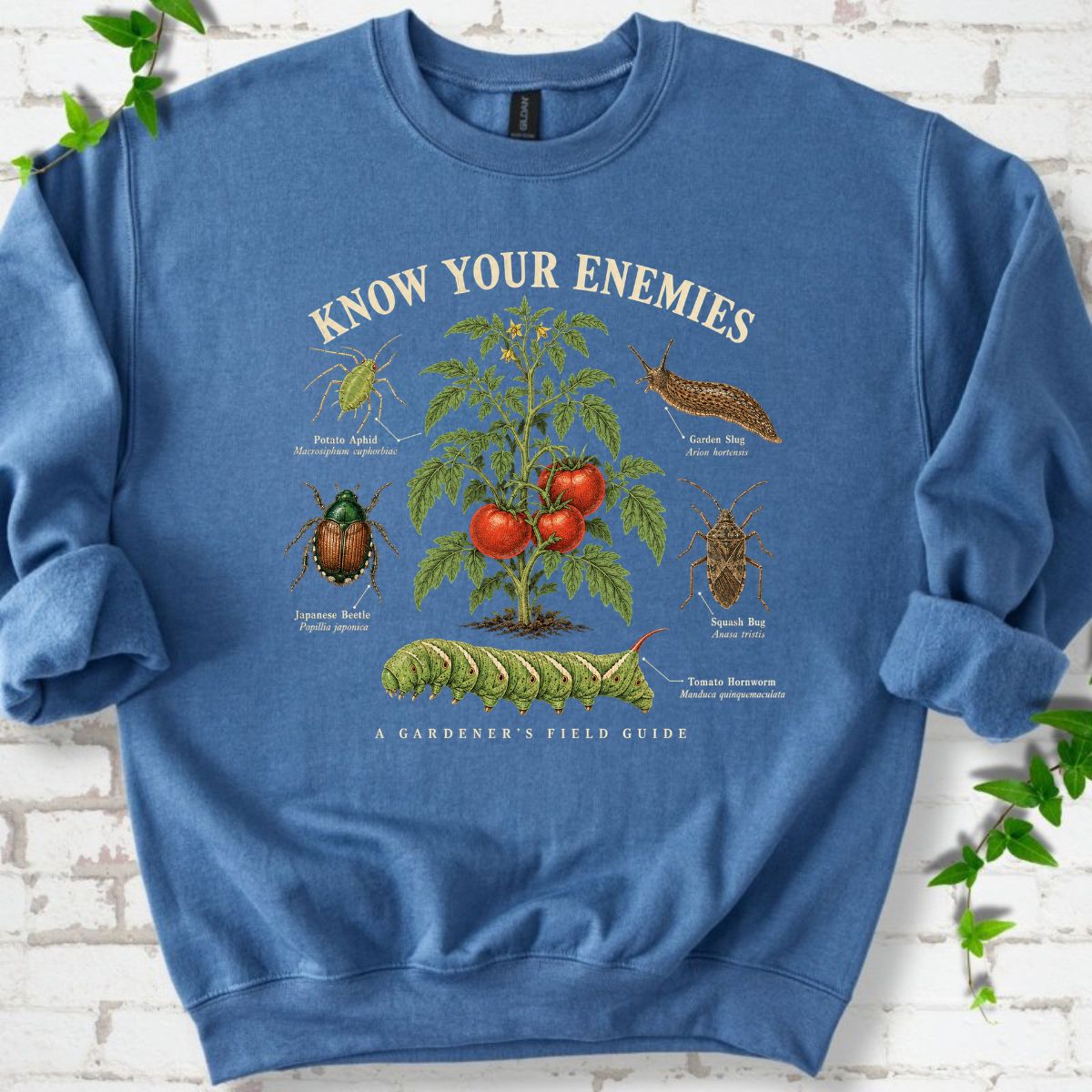 Know Your Enemies Tomato Pest Guide Sweatshirt