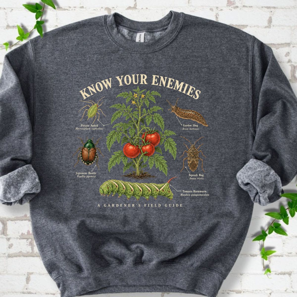 Know Your Enemies Tomato Pest Guide Sweatshirt