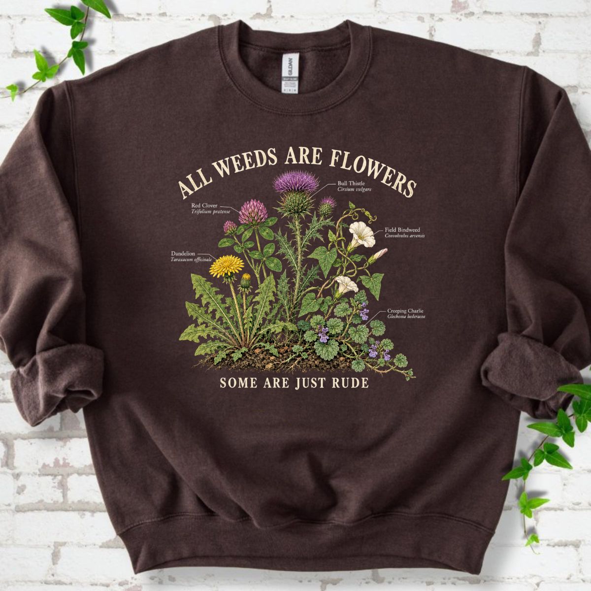 All Weeds Are Flowers Botanical Guide Sweatshirt