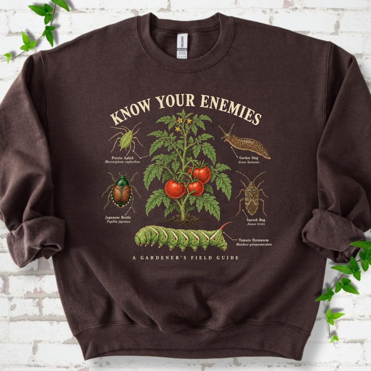 Know Your Enemies Tomato Pest Guide Sweatshirt