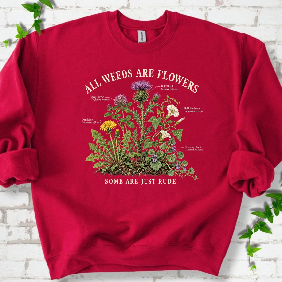 All Weeds Are Flowers Botanical Guide Sweatshirt