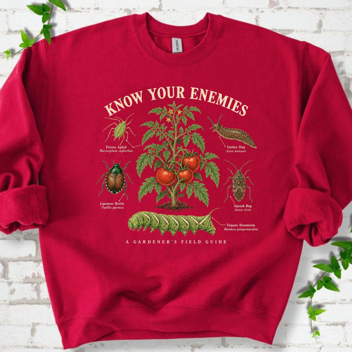 Know Your Enemies Tomato Pest Guide Sweatshirt