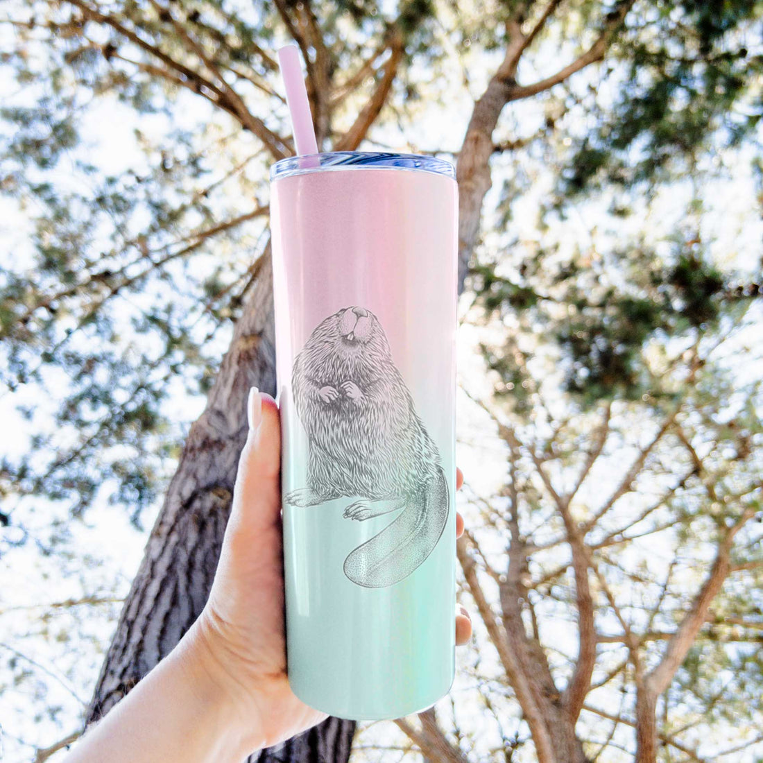 North American Beaver - Castor canadensis - 20oz Skinny Tumbler