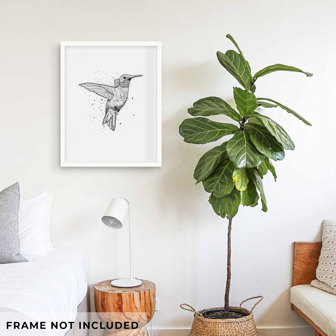 Archilochus Colubris - Ruby-throated Hummingbird - Fine Art Print
