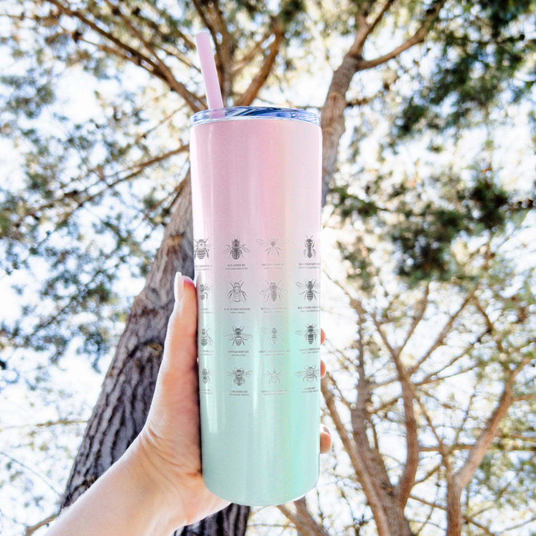 Bee Chart - Bees in North America - 20oz Skinny Tumbler