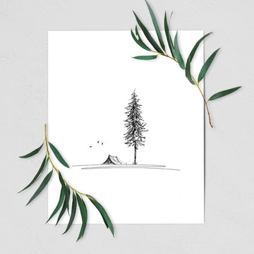 Pine Camp Vista - Fine Art Print