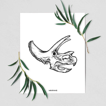 Triceratops Skull - Fine Art Print