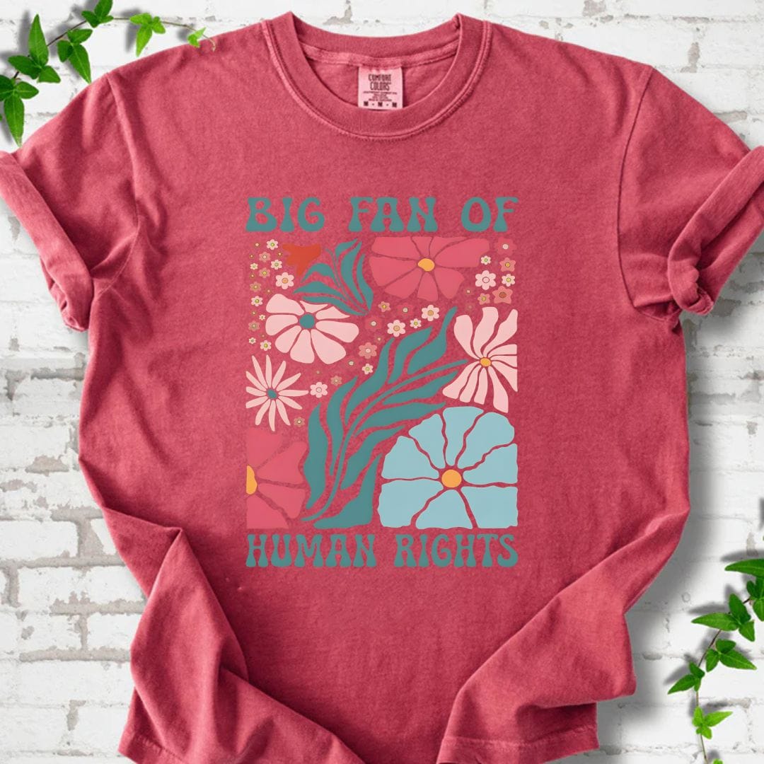 Big Fan of Human Rights T-Shirt