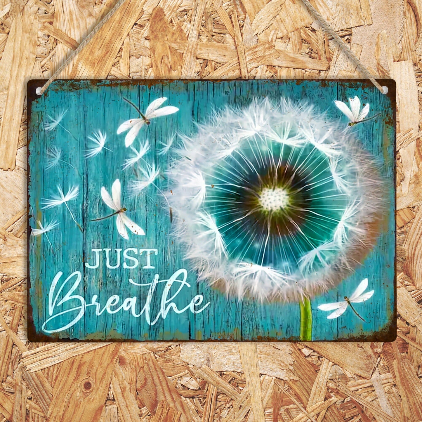 Dandelion & Dragonfly Metal Sign