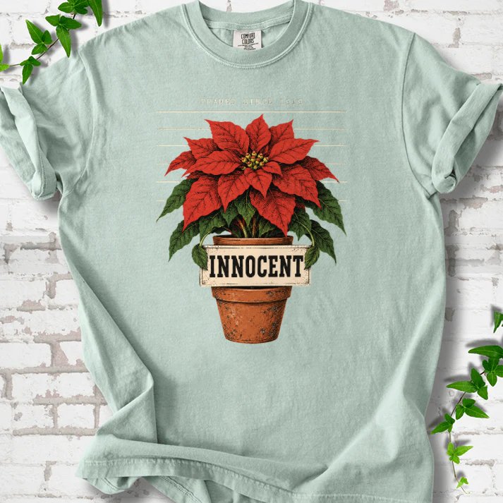 Innocent Poinsettia Mugshot T-Shirt in Bay – PlotlyGarden