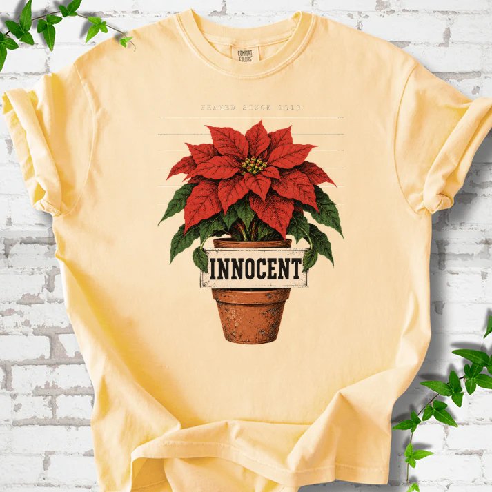 Innocent Poinsettia Mugshot T-Shirt in Butter – PlotlyGarden