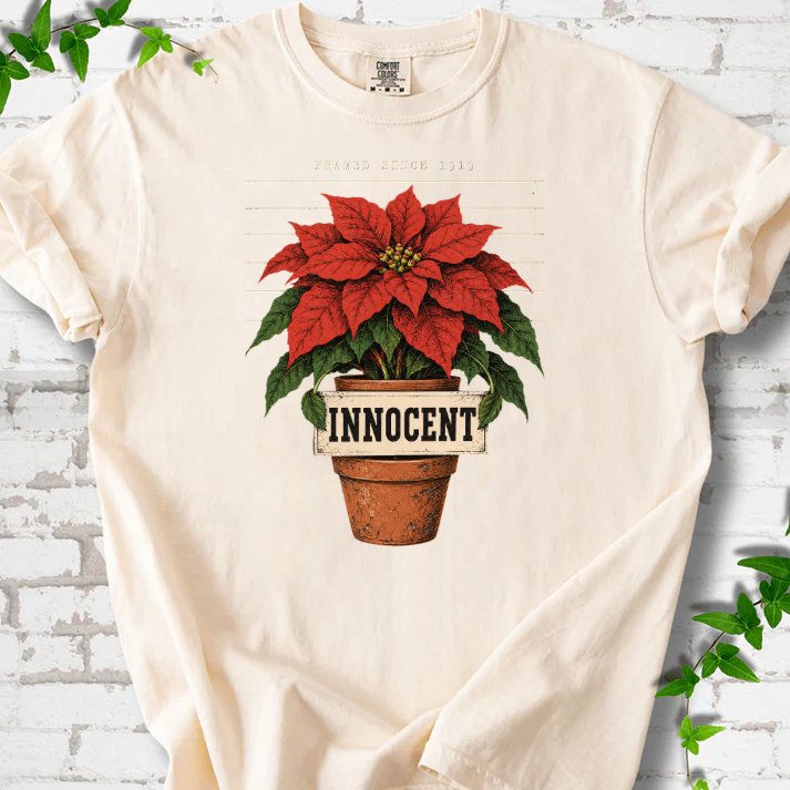 Innocent Poinsettia Mugshot T-Shirt in Ivory – PlotlyGarden