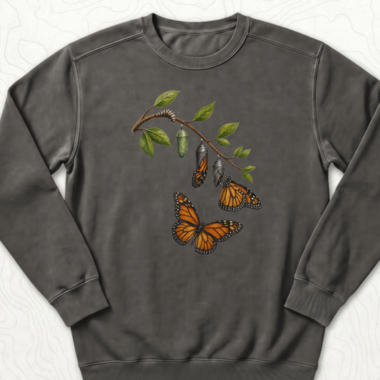 Monarch Metamorphosis Sweatshirt