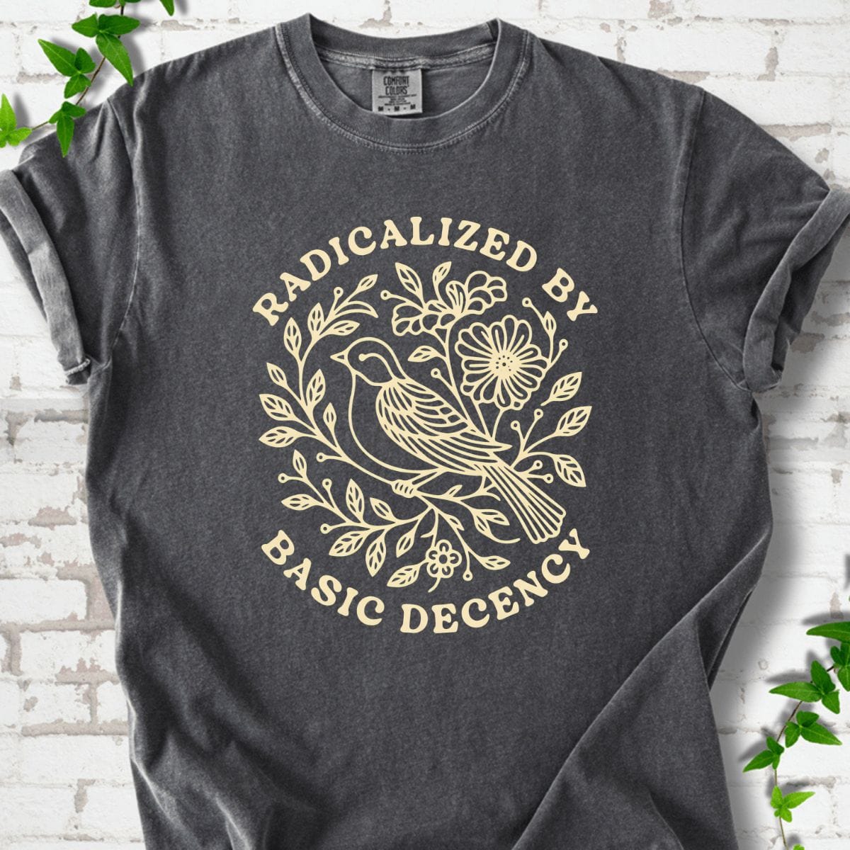 Radicalized By Basic Decency T-Shirt