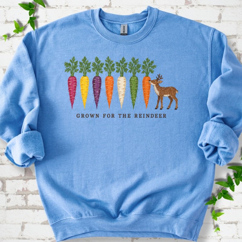 Rainbow Carrots And A Nibbling Reindeer Sweatshirt in Carolina Blue – PlotlyGarden