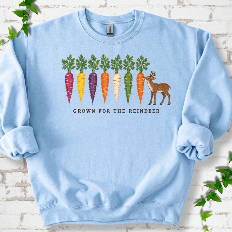 Rainbow Carrots And A Nibbling Reindeer Sweatshirt in Light Blue – PlotlyGarden