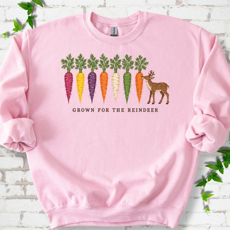 Rainbow Carrots And A Nibbling Reindeer Sweatshirt in Light Pink – PlotlyGarden
