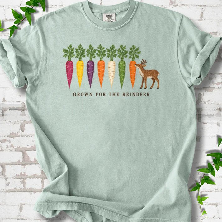 Rainbow Carrots And A Nibbling Reindeer T-Shirt in Bay – PlotlyGarden