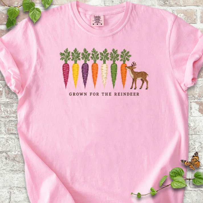 Rainbow Carrots And A Nibbling Reindeer T-Shirt in Blossom – PlotlyGarden
