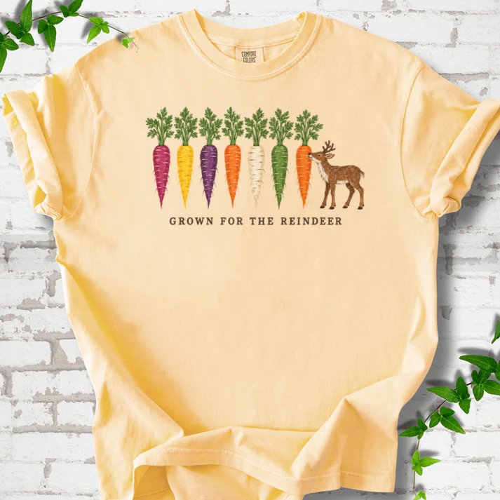 Rainbow Carrots And A Nibbling Reindeer T-Shirt in Butter – PlotlyGarden