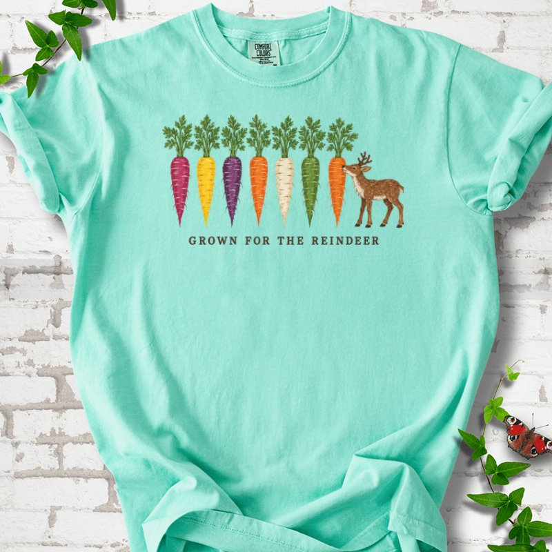 Rainbow Carrots And A Nibbling Reindeer T-Shirt in Island Reef – PlotlyGarden