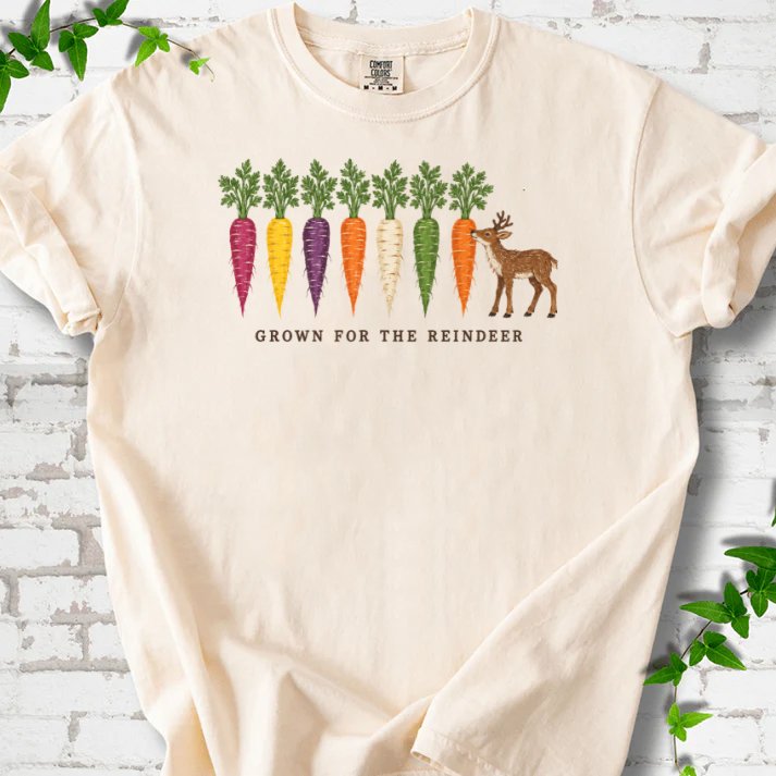 Rainbow Carrots And A Nibbling Reindeer T-Shirt in Ivory – PlotlyGarden