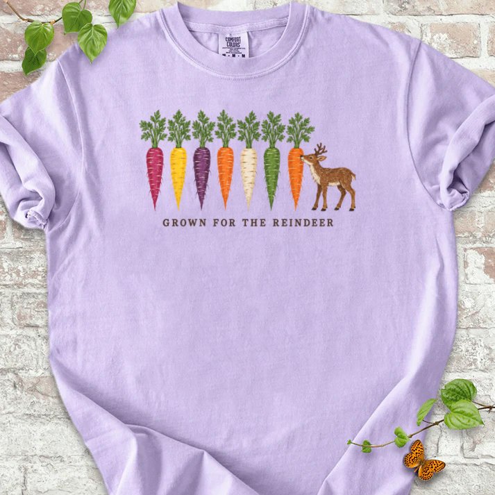 Rainbow Carrots And A Nibbling Reindeer T-Shirt in Orchid – PlotlyGarden