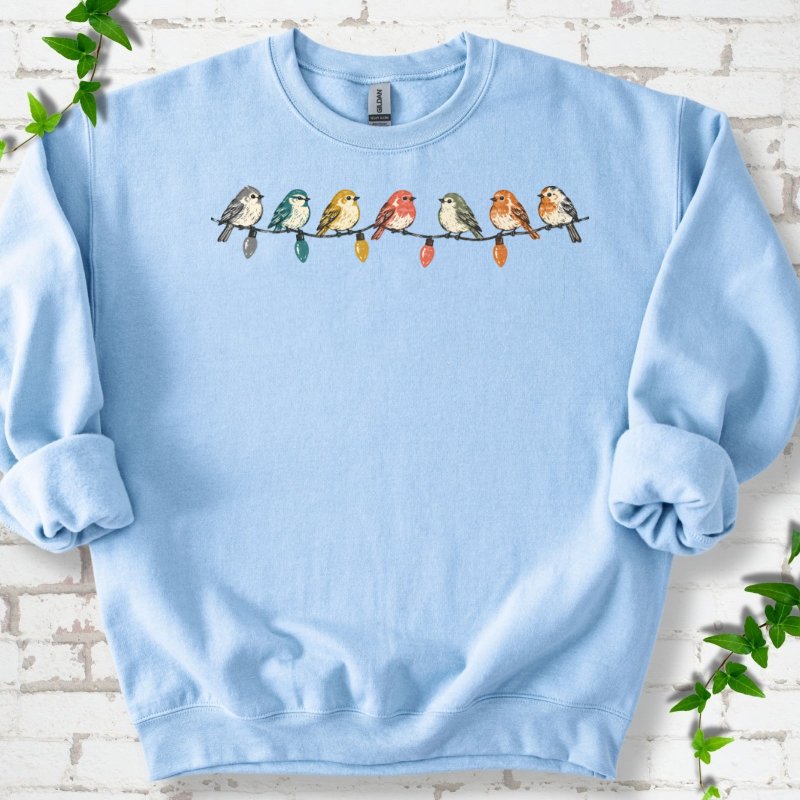 Seven Birds On A Vintage Light String Sweatshirt in Light Blue – PlotlyGarden