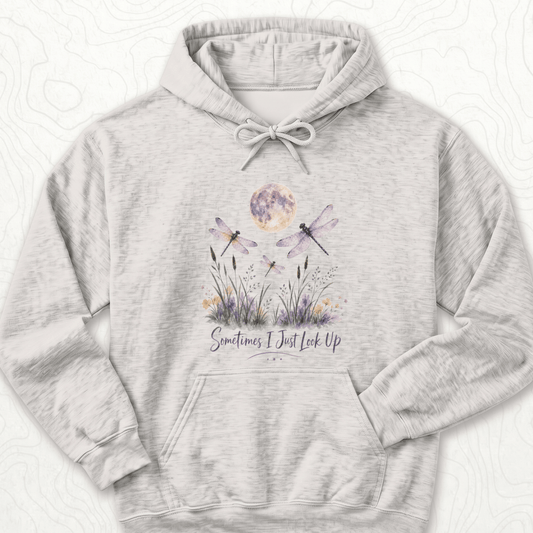 Sometimes Look Up Hoodie